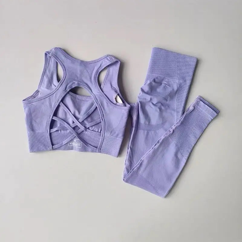 2-Piece Seamless Activewear Set | Sports Bra & Leggings Yoga Suit
