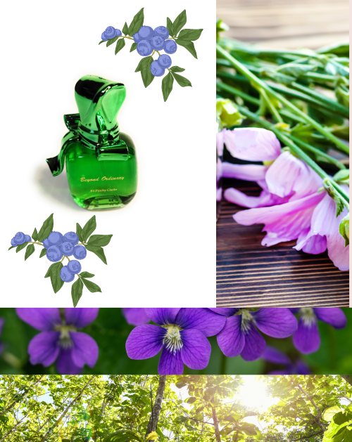 BEYOND ORDINARY - Signature Fragrance